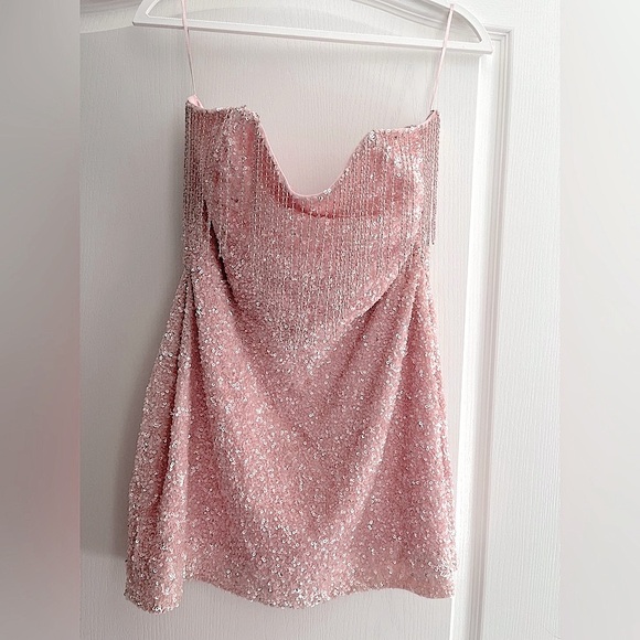 Retrofete Cassandra Sequin Fringe Dress, XL (US10/12) | Pink - Picture 4 of 6